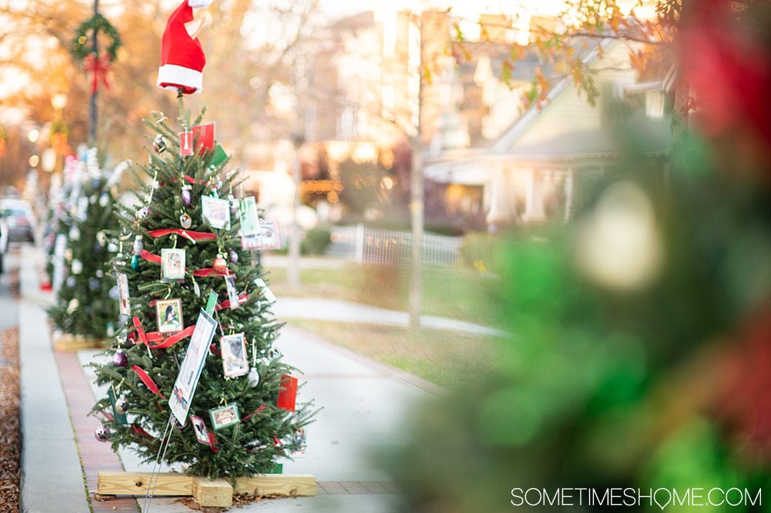 Christmas tree with a santa hat on it for winter events in North Carolina.