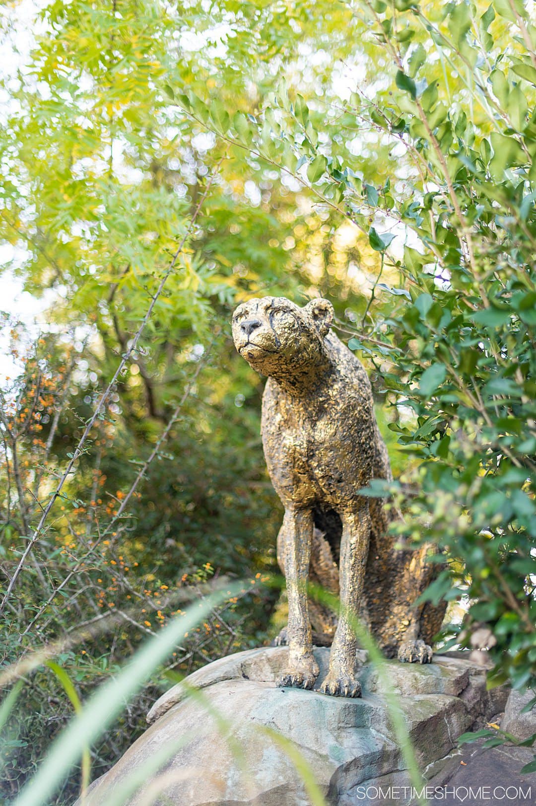 Sculpture of a cheetah at the NC Zoo in Asheboro, North Carolina.