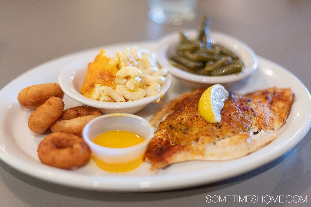 Plate with a stuff piece of fish filet on the right, mac 'n cheese and green beans and some hush puppies in Seagrove, NC.