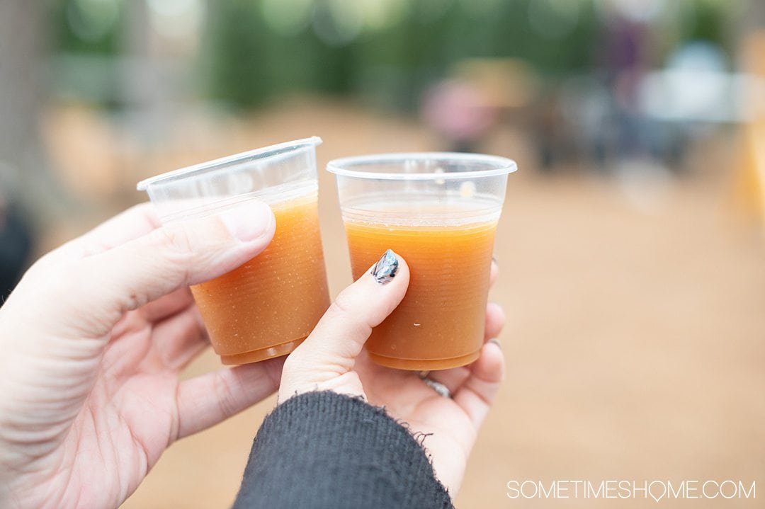 Two small cups of apple cider, held by human hands at an orchard in NC.