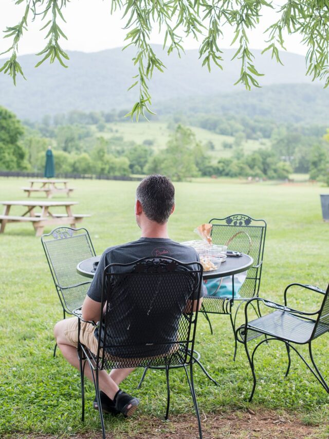 5 Wineries We Love in Charlottesville