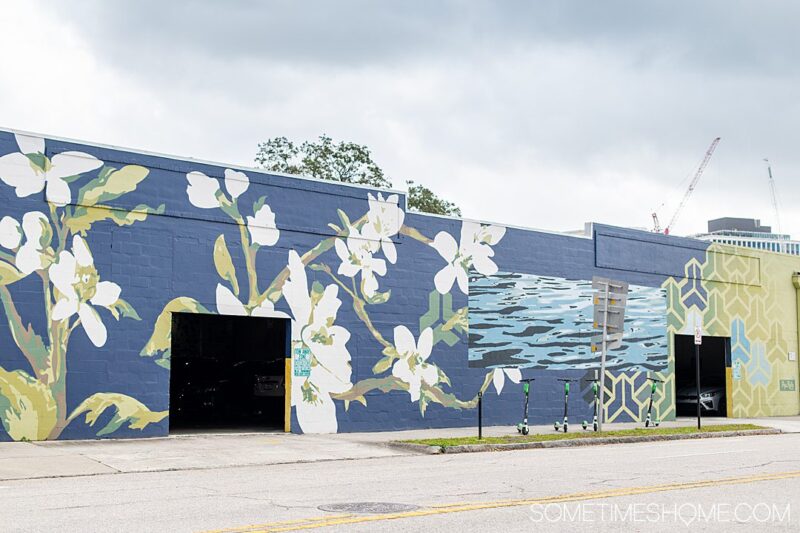 Over 40 of the Coolest Murals in Tampa Bay Florida + Where to Find Them