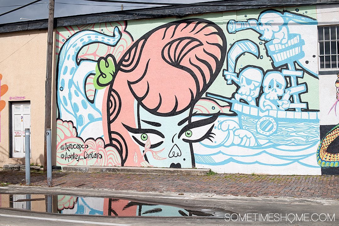 Street Murals In Tampa Bay Florida And Where To Find Them