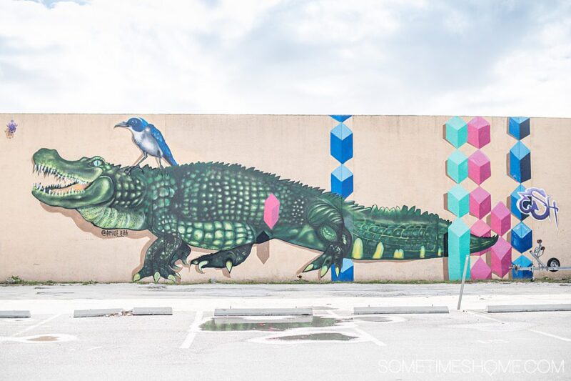 Over 40 of the Coolest Murals in Tampa Bay Florida + Where to Find Them