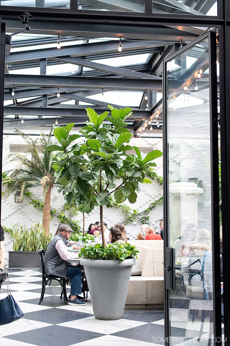 Interior greenhouse style restaurant area of Oxford Exchange in Tampa, Florida.