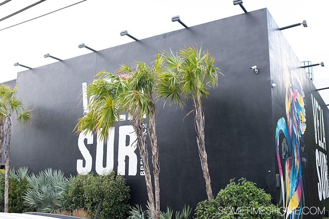 Vera Sur brewery in Wynwood, Miami with a black wall, white letters and palm trees in front.