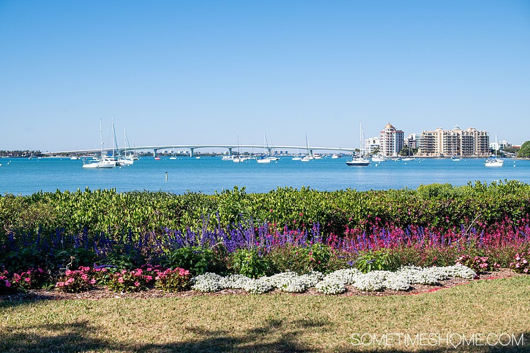 View of the Sarasota Bay in Florida from inside Marie Selby Gardens.