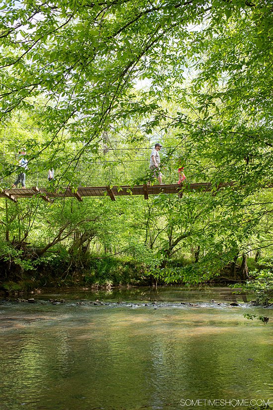 One of the things to do in Fort Miill, SC is to walk across the suspension bridge at Anne Springs Close Greenway.