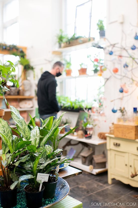 Green plants in a shop in downtown Rock Hill, SC with a man in the distance.