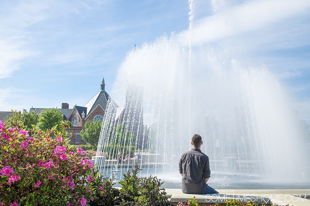 One of the best things to do in Rock Hill, SC is visit Fountain Park, downtown.