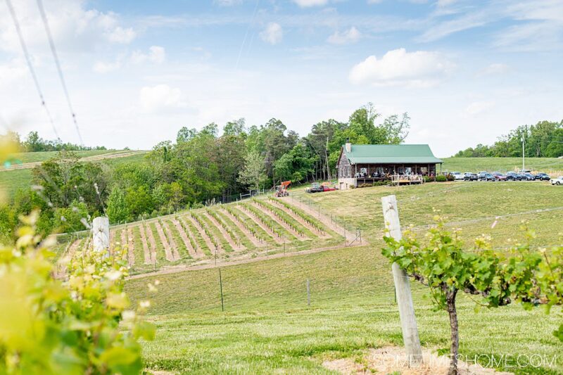 Yadkin Valley Wineries in NC with Dry Wines: 3 Days, 6 Stops