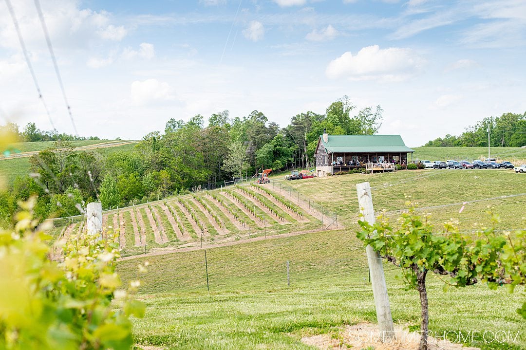 wine tour yadkin valley