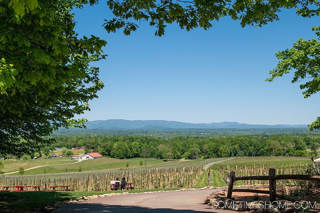 wine tour yadkin valley