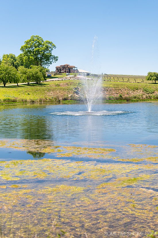 wine tour yadkin valley