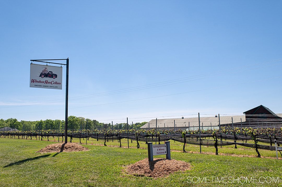 wine tour yadkin valley