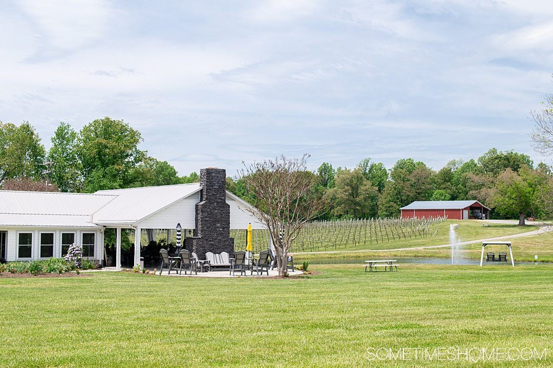 wine tour yadkin valley