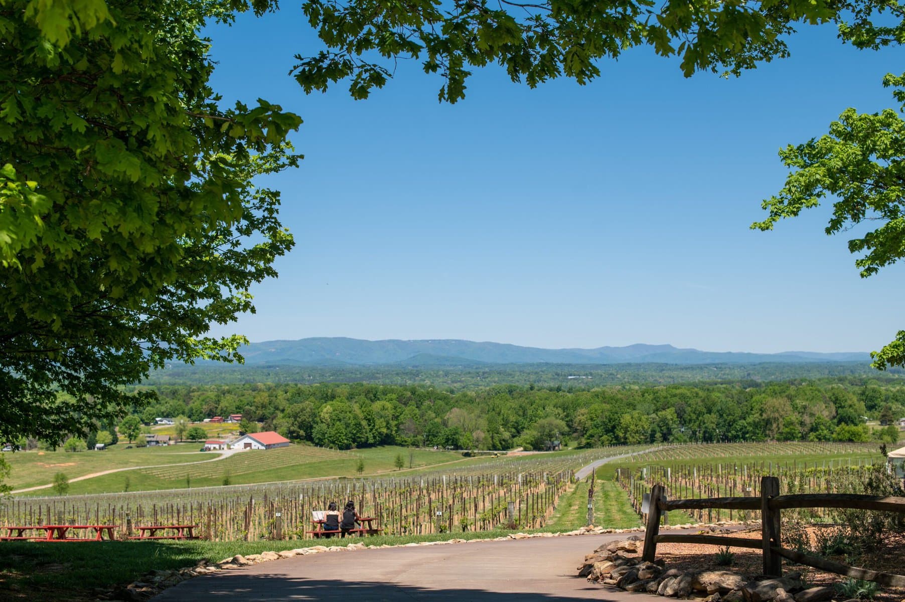 Yadkin Valley Wineries with Dry Wines in NC: 3 Days, 6 Picturesque Vineyards
