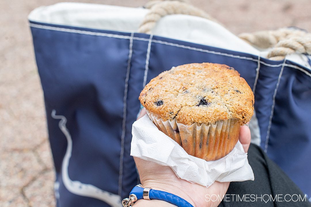 Hand holding a blueberry muffin, a food Maine is known for.