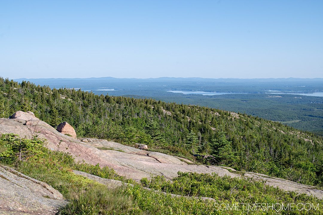 visit maine in july