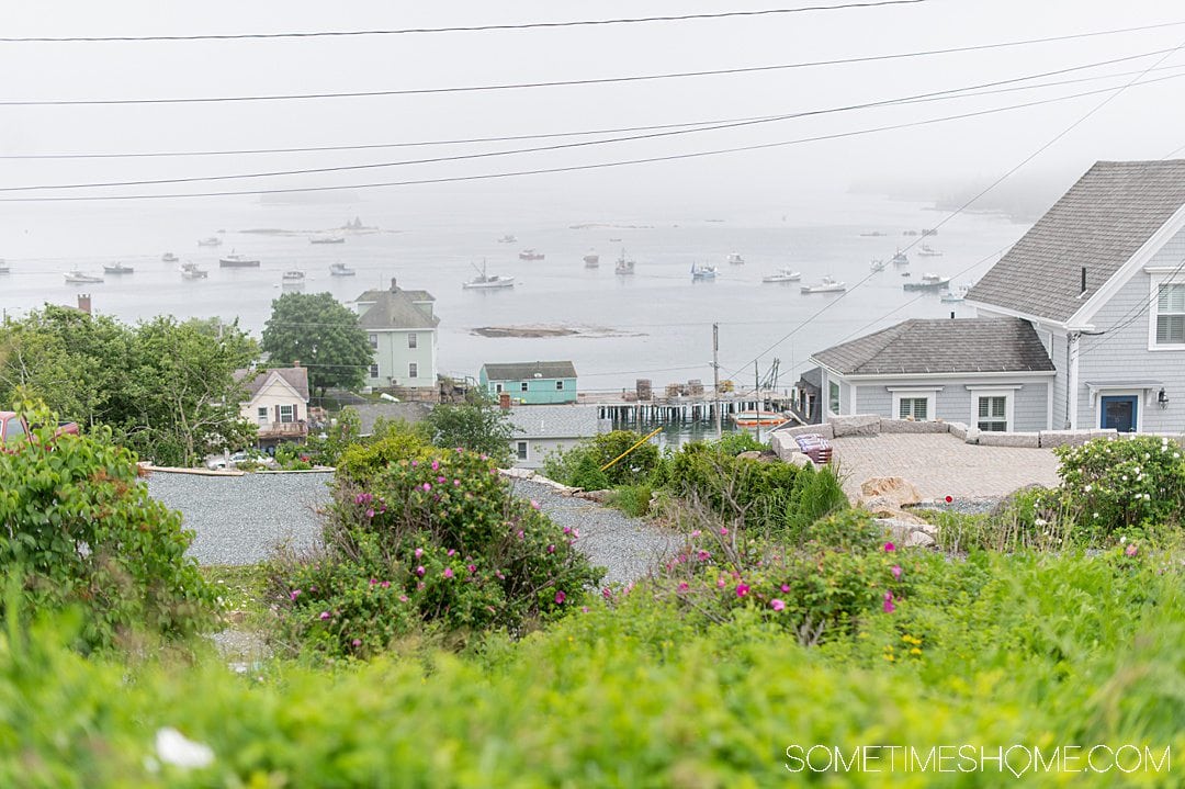 visit maine in july