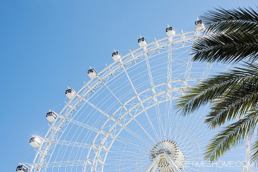 Orlando's Ferris Wheel, the ICON Wheel off I-Drive.