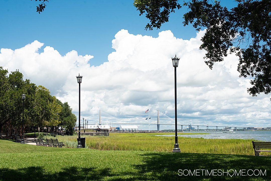 View of Ravenel Bridge in Charleston as seen from Waterfront Park. 