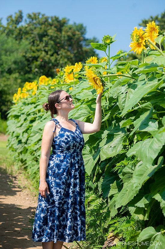 Sunflower field at Dorothea Dix park in Raleigh, NC with a girl in a blue dress looking at one of the yellow flowers.