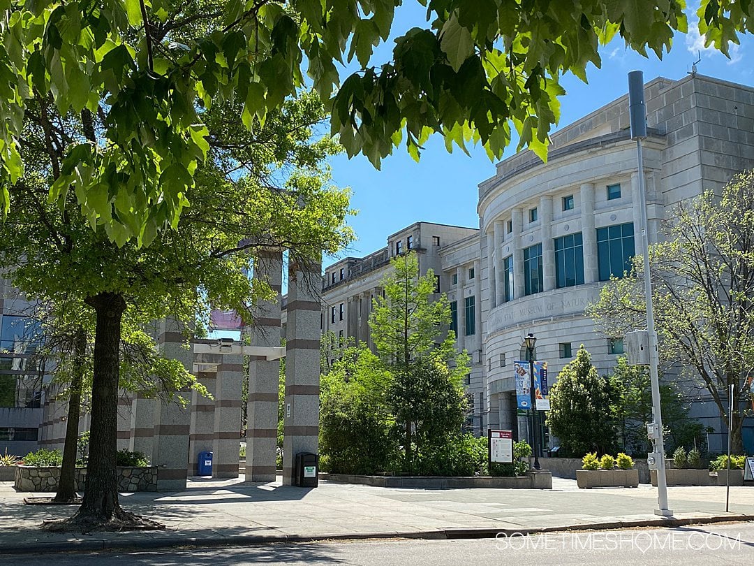 Building in the distance with tree leaves in the top foreground at Bicentennial Plaza in downtown Raleigh.