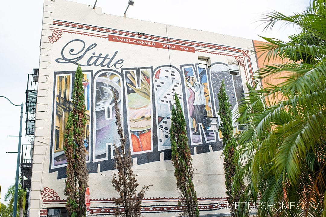 The 26 Best Things to Do in Miami, From Little Havana Food Tours to Monkey  Jungles