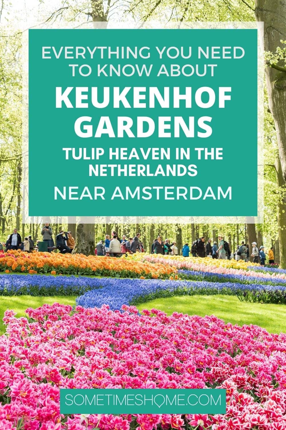 Everything you Need to Know about Keukenhof Gardens - Tulip Heaven in The Netherlands near Amsterdam.