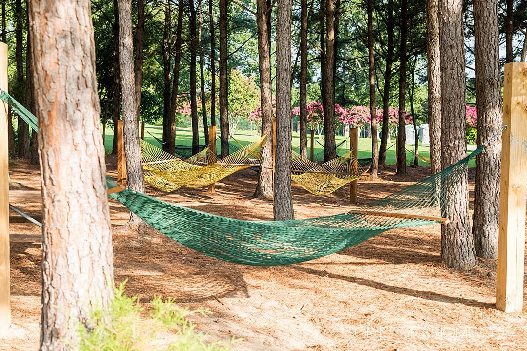 Shaded hammocks on evergreen trees at Dorothea Dix Park in Raleigh.