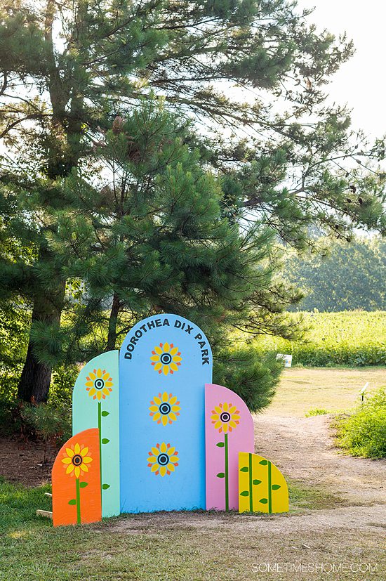 Dorothea Dix Park colorful sunflower sign with trees and a field of sunflowers in the distance.