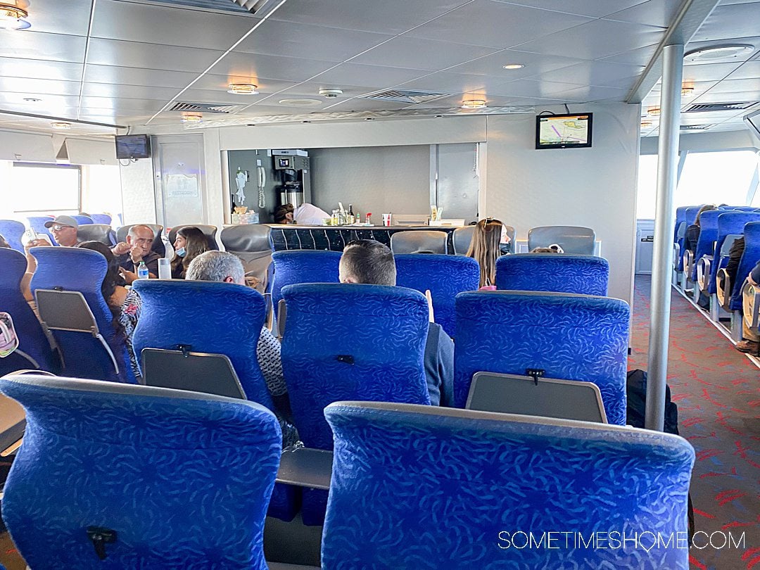 Everything to Expect on Catalina Express Ferry Boat to Catalina Island