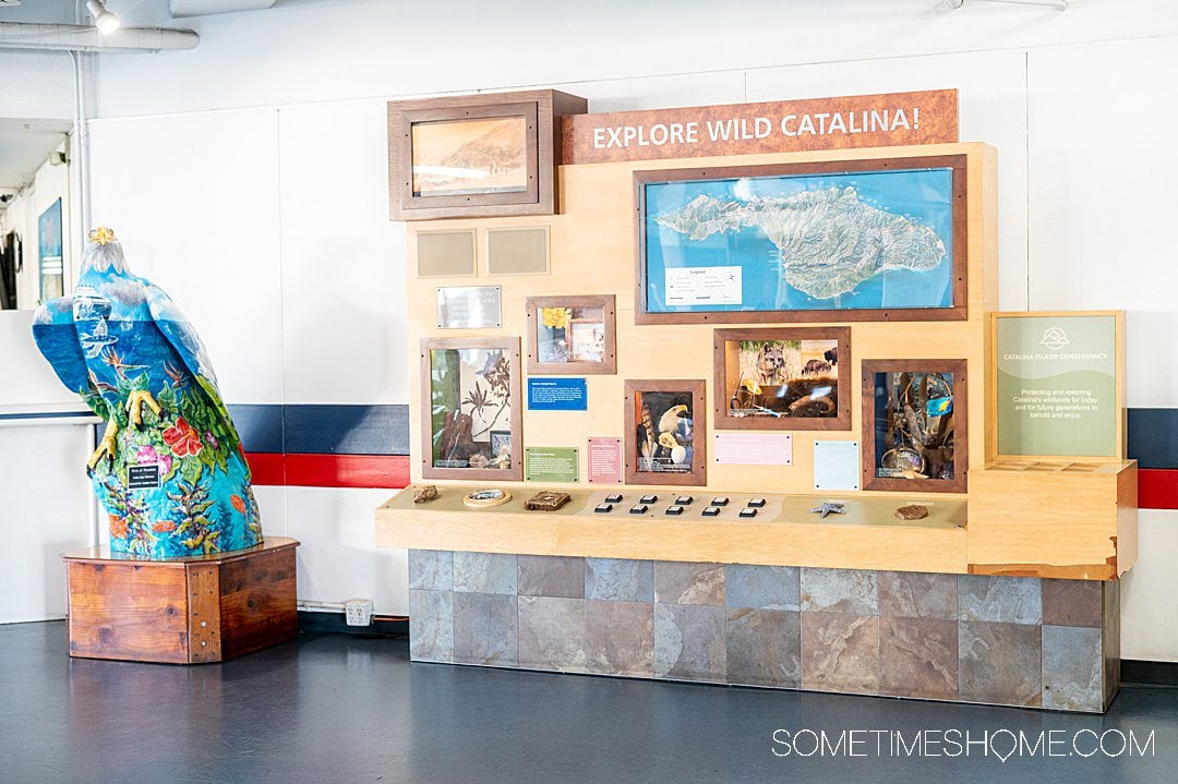 Educational display for learning about Catalina Island inside the Long Beach, CA Catalina Express terminal.