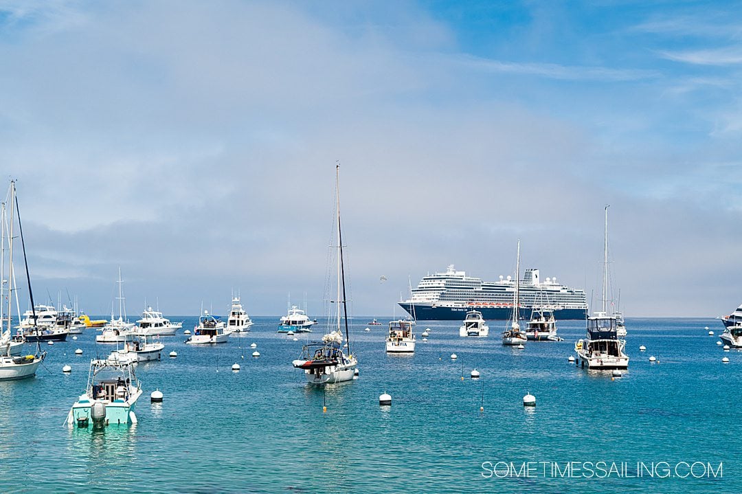 Cruise ship and boats in the turquoise blue waters off the coast of Santa Catalina Island near southern California.