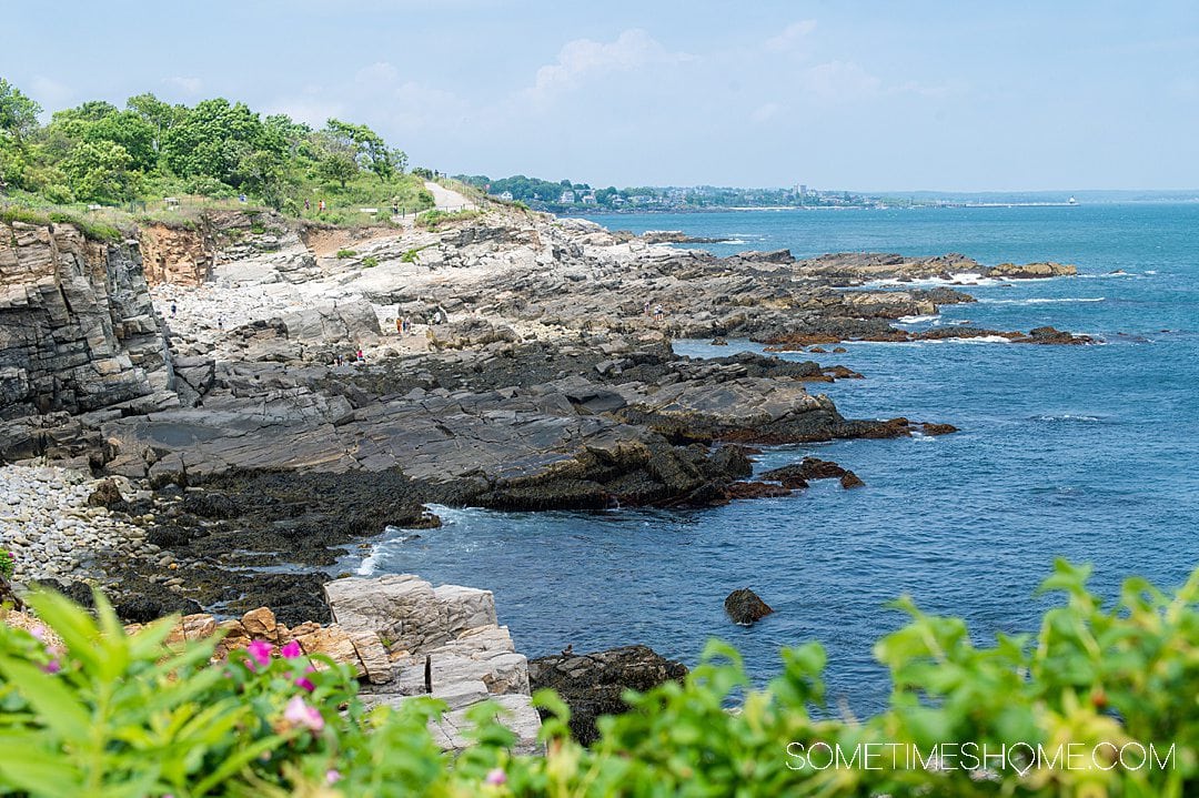 Maine coastal scene with cliffs, a blue ocean, and greenery in the foreground.