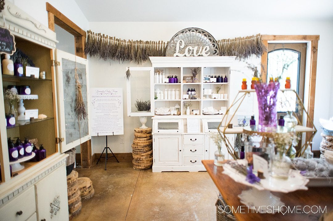 Room full of lavender products to buy and a white cabinet in the background at Lavender Oaks lavender fields near Raleigh in Chapel Hill.