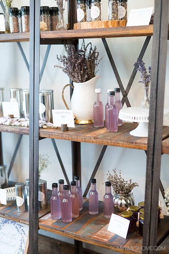 Shelves and bottles of purple liquid at a lavender field near Raleigh, NC.
