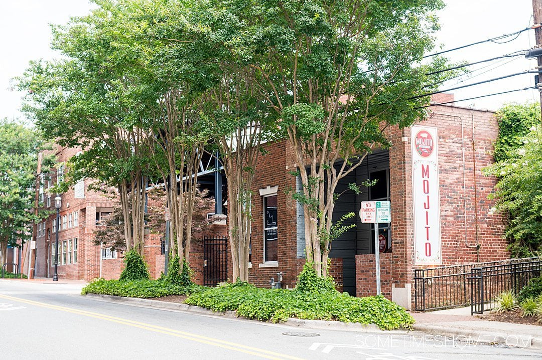 Exterior of a brick building with four Crepe Myrtle trees in front of it with green leaves.