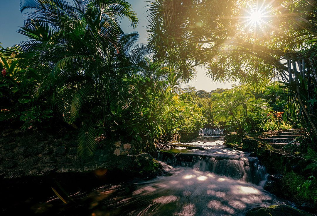 Sunshine coming through the leaves at the thermal hot springs at Tabacon Resort & Spa, that Day Pass holders and guests can enjoy.