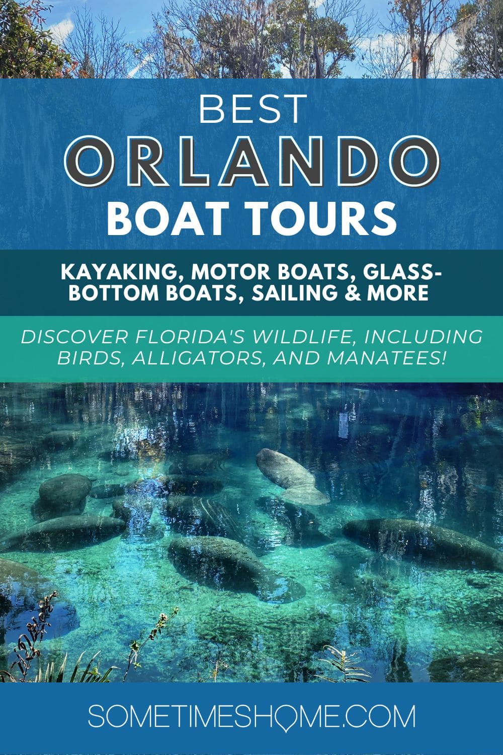 Best Orlando Boat Tours: Kayaking, Motor Boats, Glass-Bottom Boats, Sailing and More. Discover Florida's wildlife... with a photo of Manatees in the water behind the words.