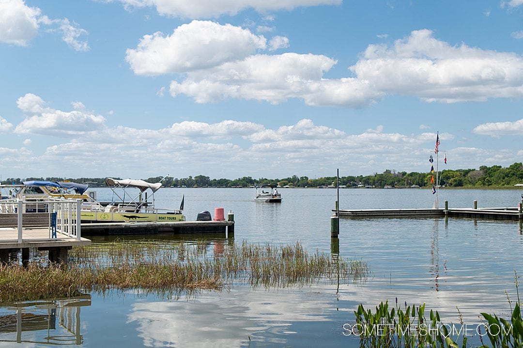 Lake with plant life and blue sky with clouds. There is a pontoon boat in the distance, in Mount Dora, for an Orlando Boat Tour.