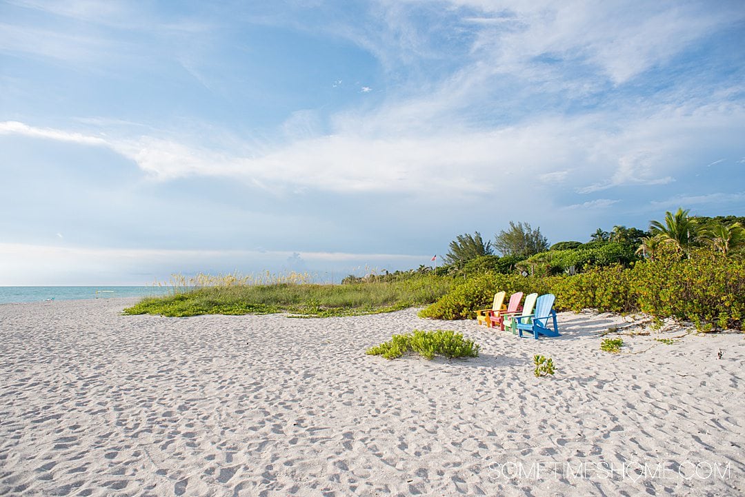Colorful chairs on a beach with greenery in Florida.