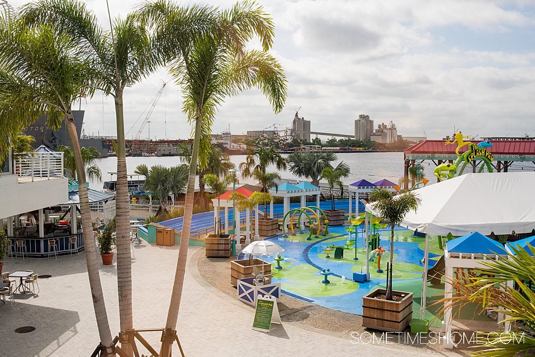 View of Tampa Aquarium and skyline and water in the background.