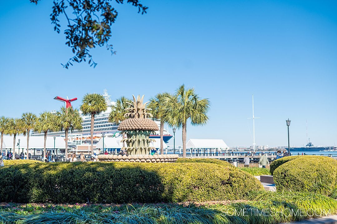 View of Joe Riley waterfront park in Charleston, SC with a cruise ship in the distance.