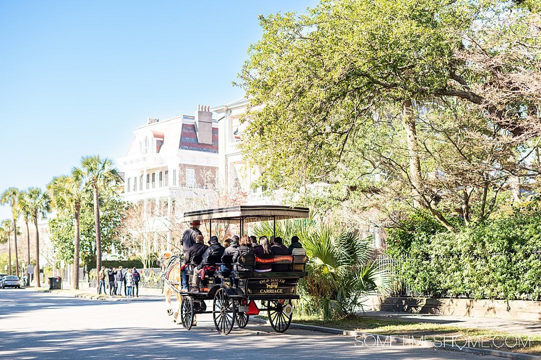 Horse-drawn carriage ride through downtown Charleston, South Carolina. Guided tours are one of the best things to do there.