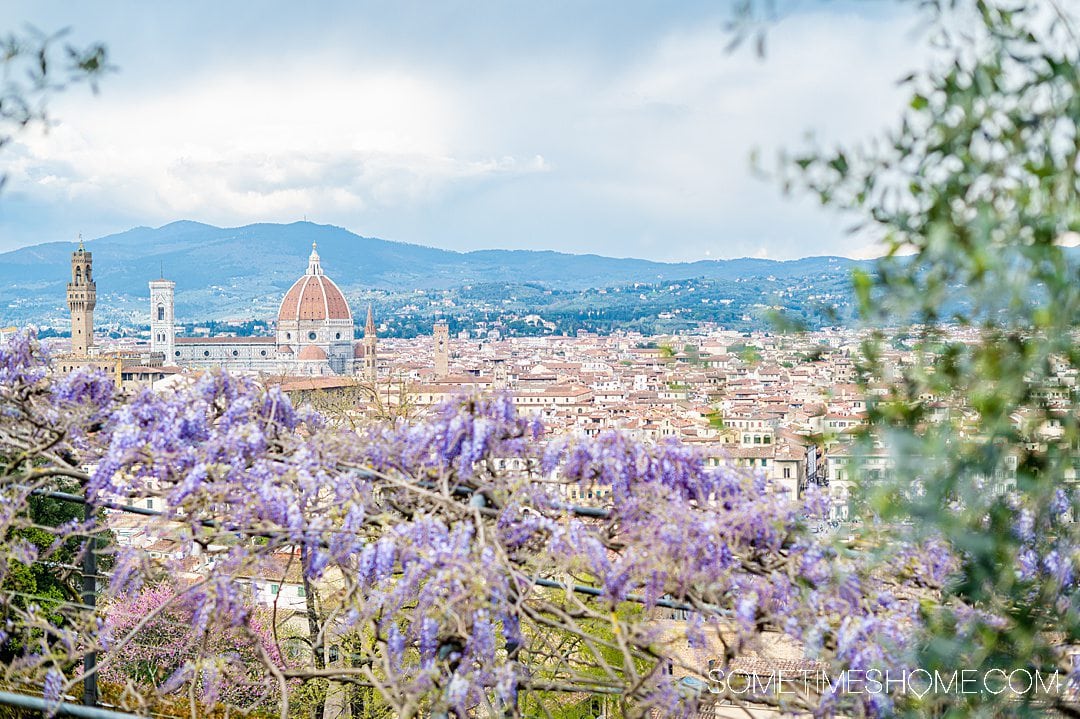 Home - City of Florence