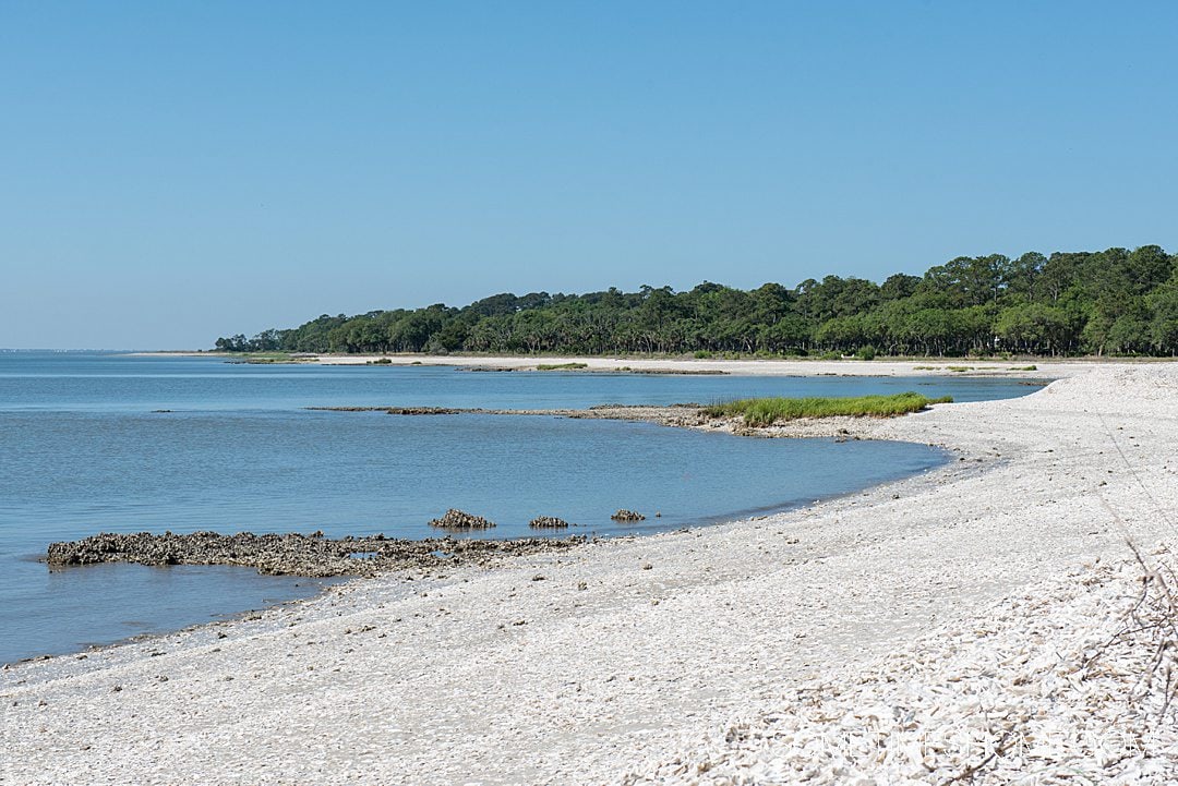 Waterfront with a shell-filled shore and trees in the distance on Daufuskie Island, one of the cities near the beach in South Carolina.