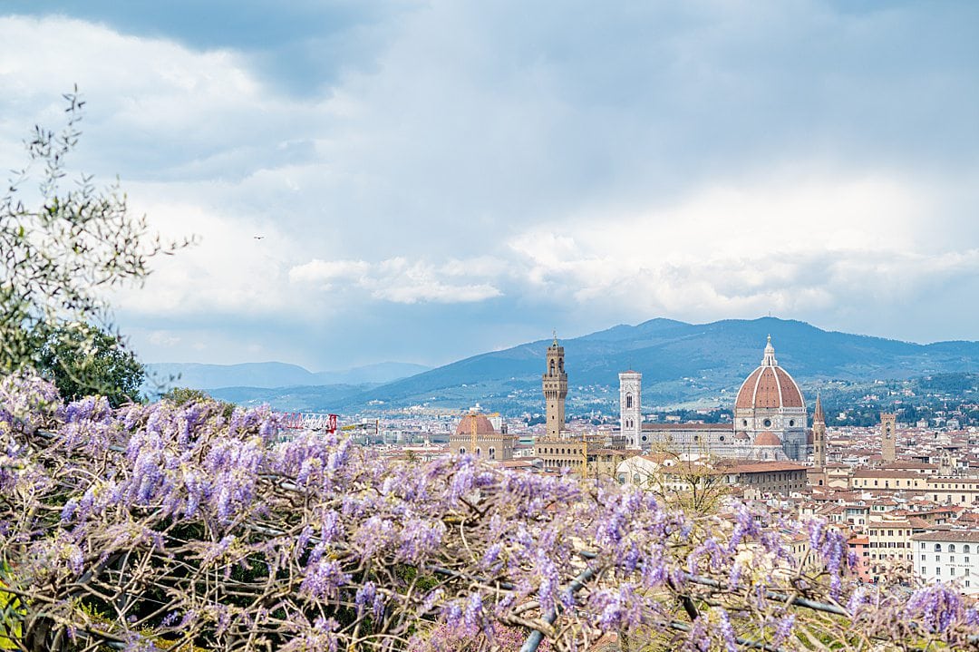 Overview of Florence and the dome of the cathedral in the distance along with the tower of Piazza Vecchio, and wisteria in the foreground.