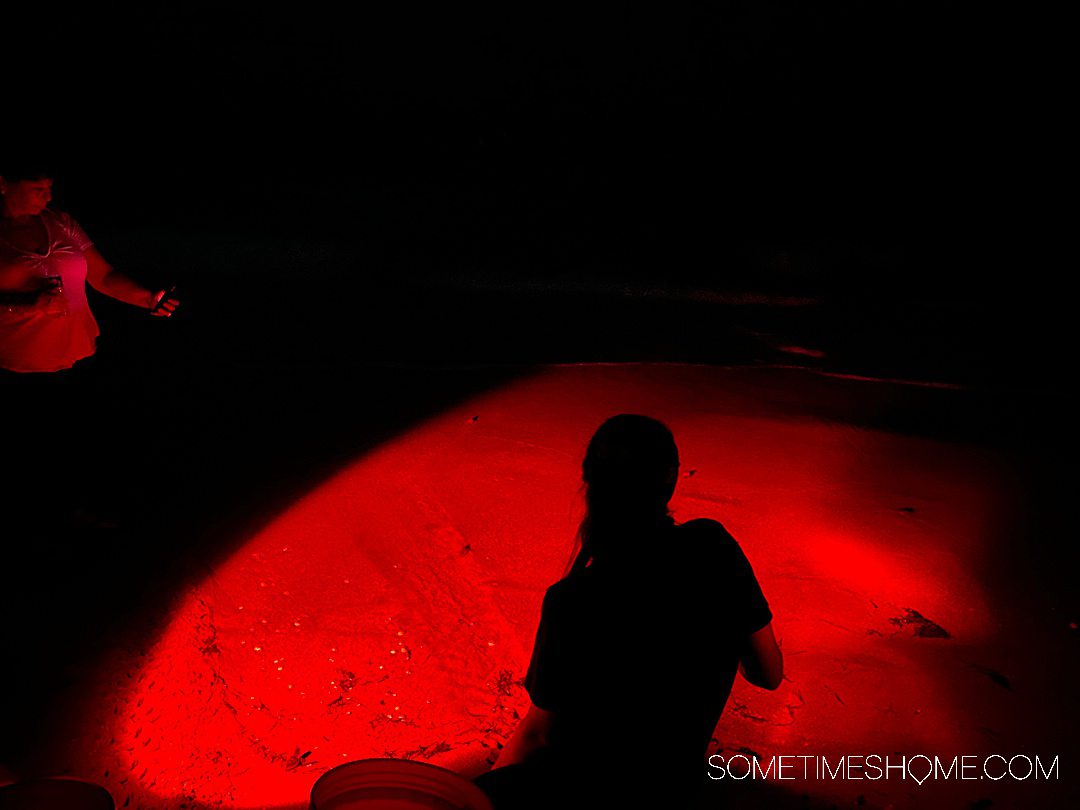 Silhouette of a person on the beach with red light behind her during Gumbo Limbo Center Sea Turtle Walk.
